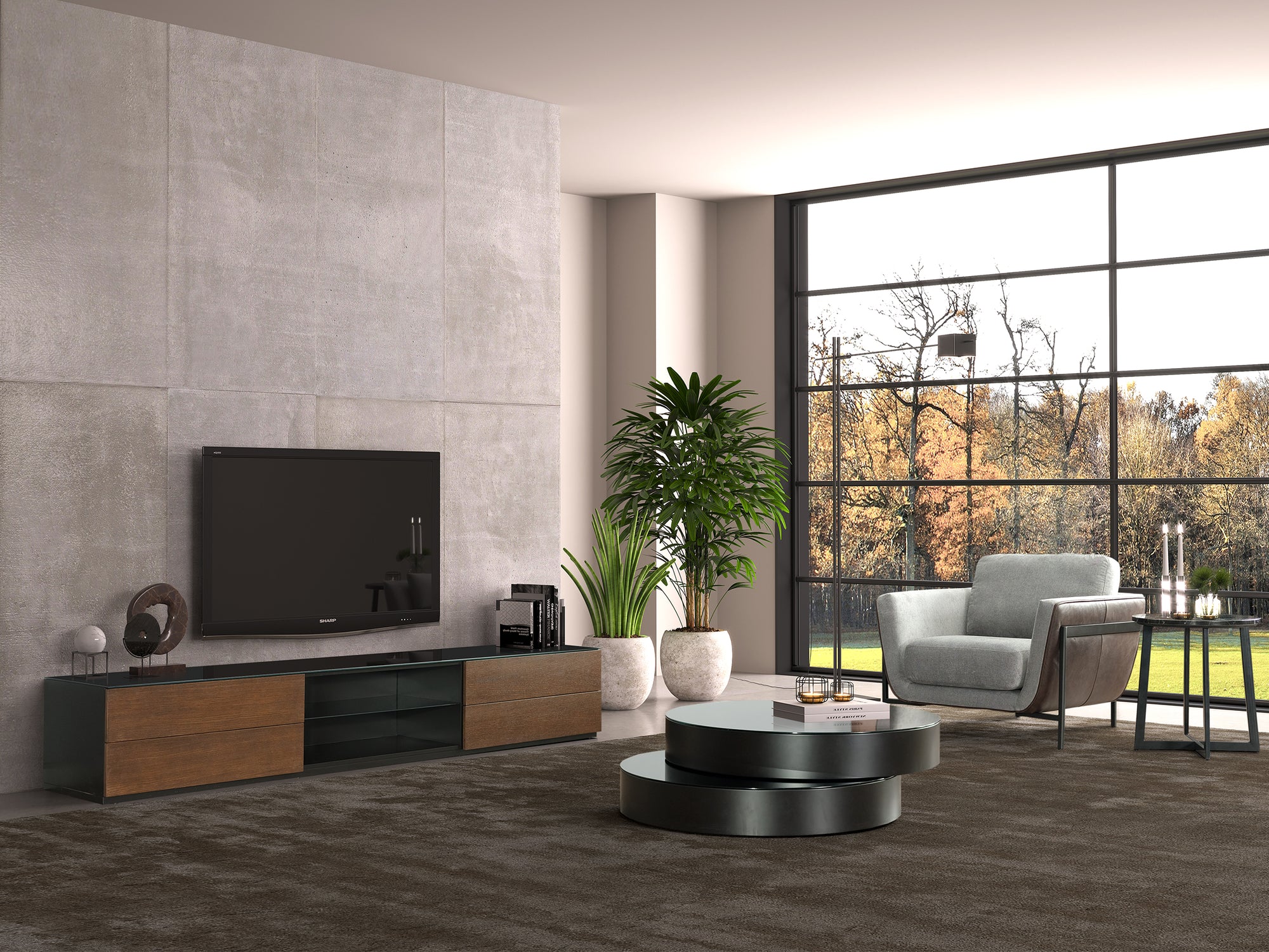 Pandora TV Unit